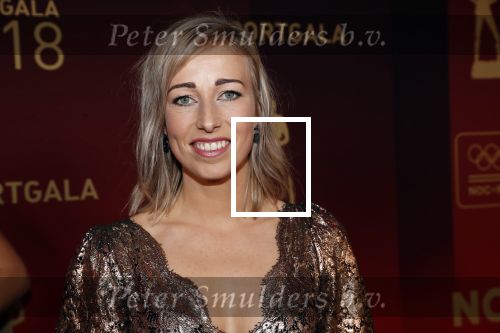 Amsterdam 19 december 2018
Sportman van het jaar verkiezing in afas live. Anouk v d  Meijden met partner