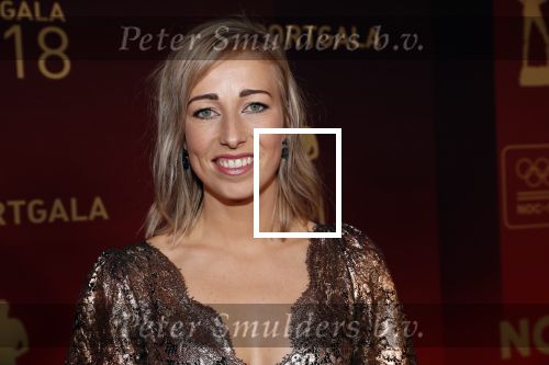 Amsterdam 19 december 2018
Sportman van het jaar verkiezing in afas live. Anouk v d  Meijden met partner