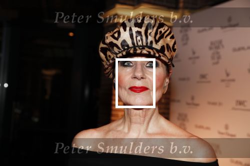 Amsterdam 10 december 2018
de Harper\'s Bazaar Woman of the Year Award 2018 in de Posthoornkerk . Ans Markus