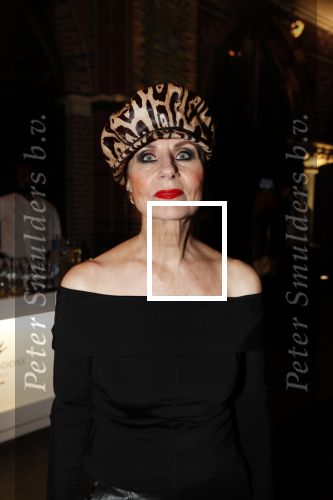 Amsterdam 10 december 2018
de Harper\'s Bazaar Woman of the Year Award 2018 in de Posthoornkerk . Ans Markus