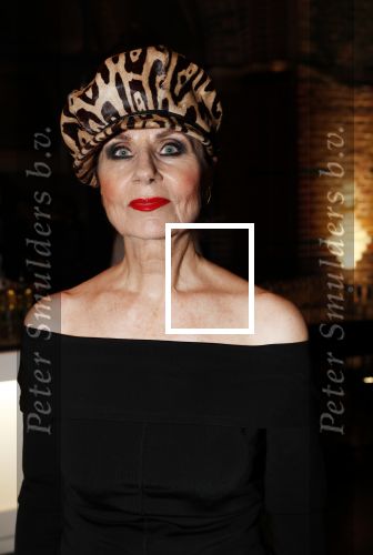 Amsterdam 10 december 2018
de Harper\'s Bazaar Woman of the Year Award 2018 in de Posthoornkerk . Ans Markus