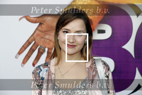 Rotterdam 9 december 2018
Premiere Bon Bini Holland 2 in pathe Rotterdam. Barbara Sloesen