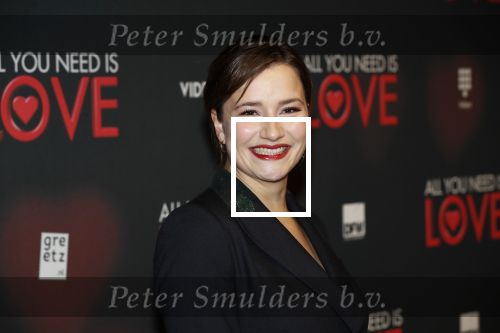 Amsterdam 26 november 2018
Premiere All you need is love in het delamar theater. Barbara Sloesen