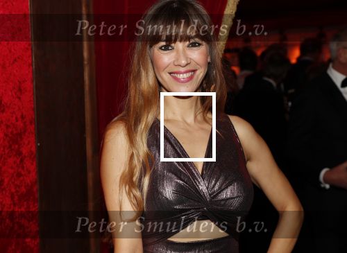 Amsterdam 21 november 2018
Premiere Palazzo naast de Amsterdam arena. Beertje v Beers