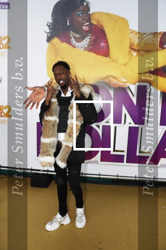Rotterdam 9 december 2018
Premiere Bon Bini Holland 2 in pathe Rotterdam.