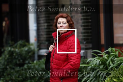 Amsterdam, 16 November 2018 Bruni Heinke op de PC Hooftstraat