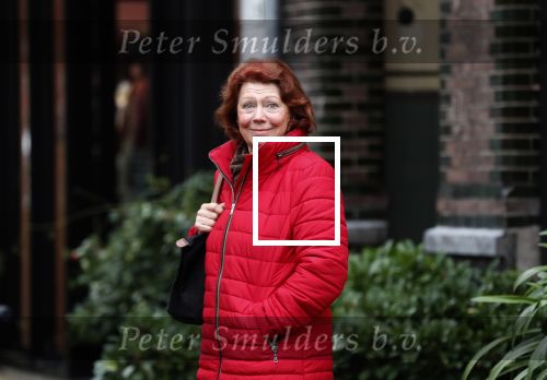 Amsterdam, 16 November 2018 Bruni Heinke op de PC Hooftstraat