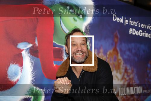 Amsterdam 24 november 2018
Premiere van de Grinch in pathe arena.
Carlo Boszhard