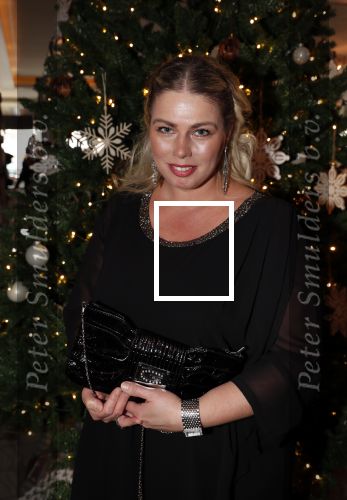 Den Haag 10 december 2018
Society Lunch in het crown plaza hotel.
Carmen Vollebregt