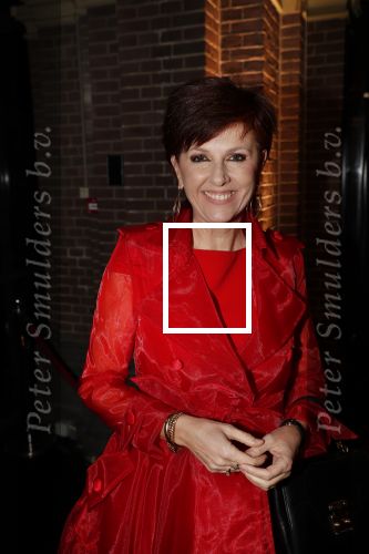Amsterdam 10 december 2018
de Harper\'s Bazaar Woman of the Year Award 2018 in de Posthoornkerk . Chazia Mourali