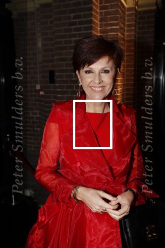 Amsterdam 10 december 2018
de Harper\'s Bazaar Woman of the Year Award 2018 in de Posthoornkerk . Chazia Mourali