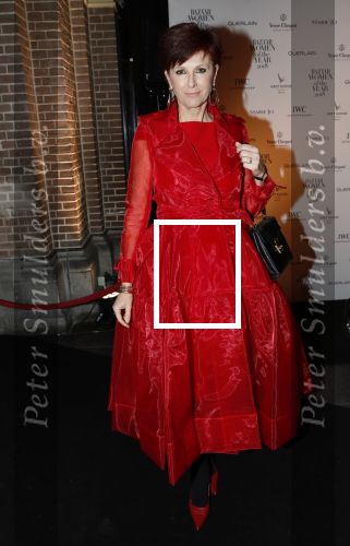 Amsterdam 10 december 2018
de Harper\'s Bazaar Woman of the Year Award 2018 in de Posthoornkerk . Chazia Mourali