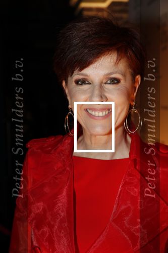 Amsterdam 10 december 2018
de Harper\'s Bazaar Woman of the Year Award 2018 in de Posthoornkerk . Chazia Mourali