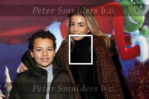 Amsterdam 24 november 2018
Premiere van de Grinch in pathe arena.
Christie Bokma met zoon.