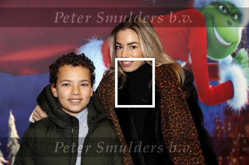 Amsterdam 24 november 2018
Premiere van de Grinch in pathe arena.
Christie Bokma met zoon.