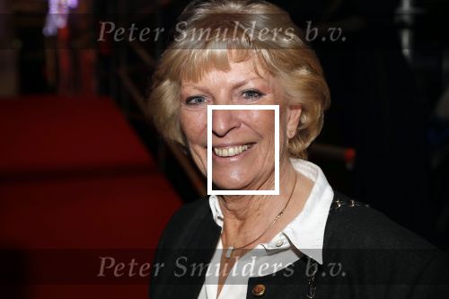 Hilversum 3 december 2018
Tineke de Nooij krijgt ouvre award bij beeld en geluid. Ciska Peters