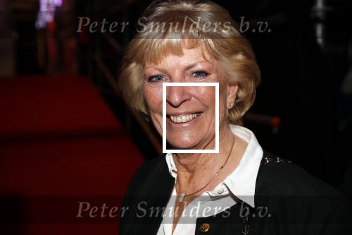 Hilversum 3 december 2018
Tineke de Nooij krijgt ouvre award bij beeld en geluid. Ciska Peters