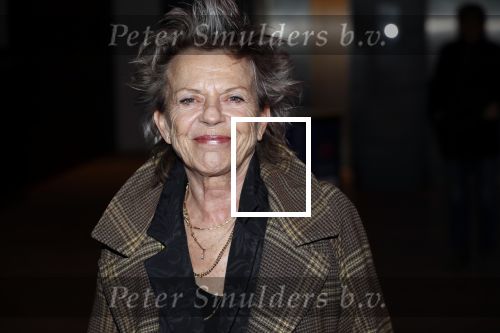 Amsterdam 26 november 2018
Koningin Maxima reikt in het Muziekgebouw aan t IJ de Prins Bernhard Cultuurfonds Prijs uit aan dirigent en componist Reinbert de Leeuw. Connie Palmen