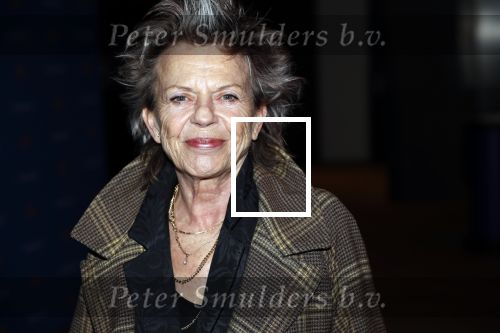 Amsterdam 26 november 2018
Koningin Maxima reikt in het Muziekgebouw aan t IJ de Prins Bernhard Cultuurfonds Prijs uit aan dirigent en componist Reinbert de Leeuw. Connie Palmen