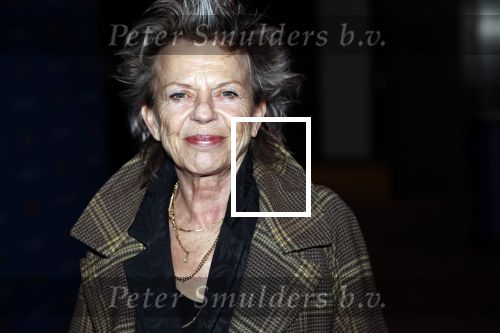 Amsterdam 26 november 2018
Koningin Maxima reikt in het Muziekgebouw aan t IJ de Prins Bernhard Cultuurfonds Prijs uit aan dirigent en componist Reinbert de Leeuw. Connie Palmen