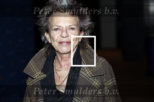 Amsterdam 26 november 2018
Koningin Maxima reikt in het Muziekgebouw aan t IJ de Prins Bernhard Cultuurfonds Prijs uit aan dirigent en componist Reinbert de Leeuw. Connie Palmen