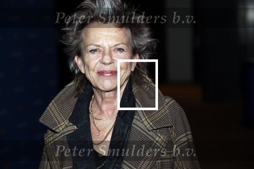 Amsterdam 26 november 2018
Koningin Maxima reikt in het Muziekgebouw aan t IJ de Prins Bernhard Cultuurfonds Prijs uit aan dirigent en componist Reinbert de Leeuw. Connie Palmen