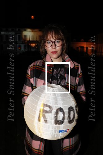 Soestdijk Baarn 6 december 2018
Kick off voor KWF aktie met lampionnen bij paleis Soestdijk . oa Wilfred Genee Coosje Smid Mirella v Markus Jeroen Snel en Andre v d Toorn doen mee.