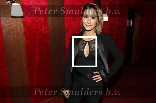 Amsterdam 21 november 2018
Premiere Palazzo naast de Amsterdam arena. Dilan Yurkadul met Dorian Bindels