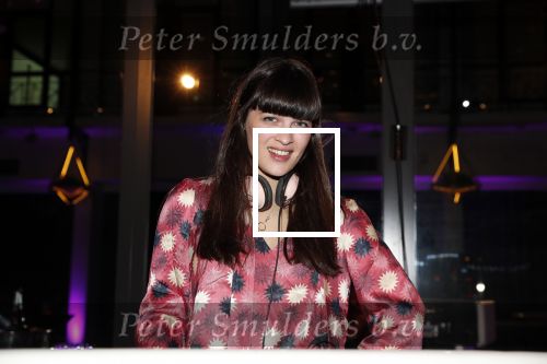 Amsterdam 15 november 2018
Viva 400 verkiezing in hotel Krasnapolsky. Dj Bella hay