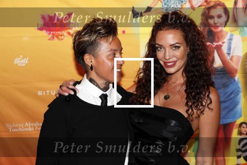 Amsterdam 22 november 2018
Premiere first kiss in het Amsterdam theater. Dorien Rose met partner
