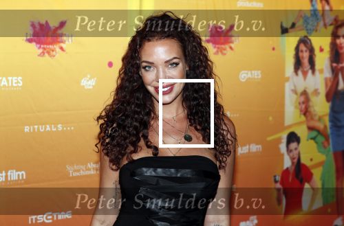 Amsterdam 22 november 2018
Premiere first kiss in het Amsterdam theater. Dorien Rose met partner