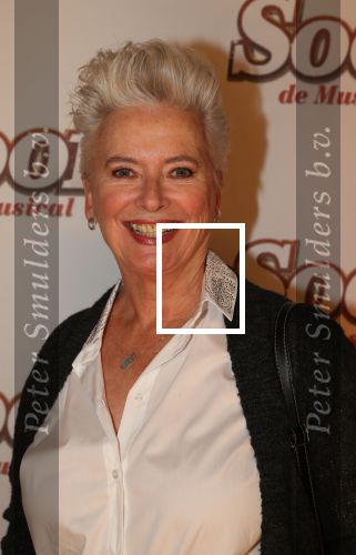 Breda, 18 November 2018
Premiere Musical Soof.
Doris Baaten