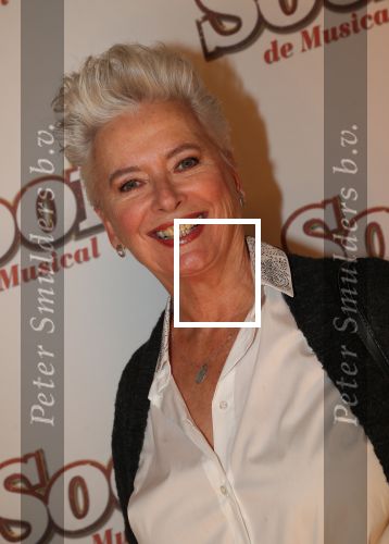 Breda, 18 November 2018
Premiere Musical Soof.
Doris Baaten