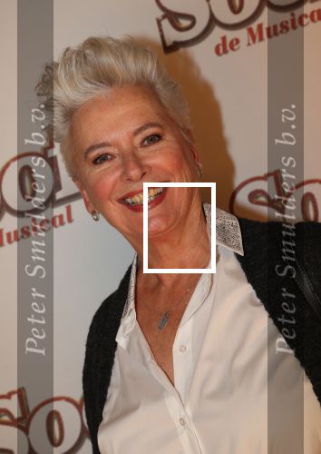 Breda, 18 November 2018
Premiere Musical Soof.
Doris Baaten