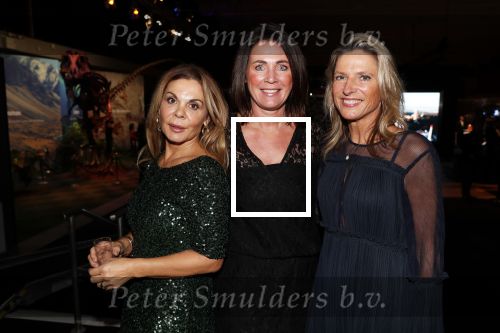 Amsterdam 6 december 2018
Openingsavond VIP van de luxery fair in de RAI. Eefje Voogd met 2 vriendinnen