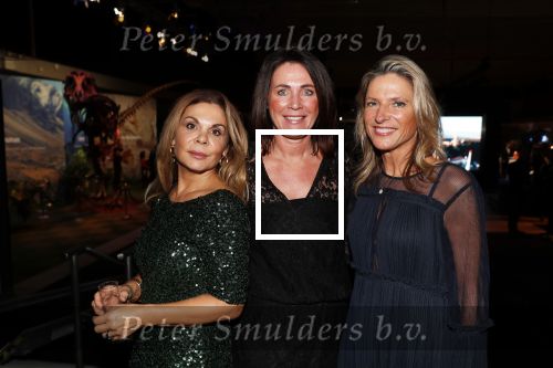 Amsterdam 6 december 2018
Openingsavond VIP van de luxery fair in de RAI. Eefje Voogd met 2 vriendinnen