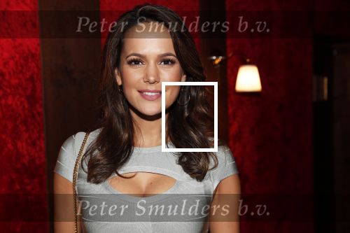 Amsterdam 21 november 2018
Premiere Palazzo naast de Amsterdam arena. Elise v d Horst