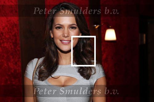 Amsterdam 21 november 2018
Premiere Palazzo naast de Amsterdam arena. Elise v d Horst