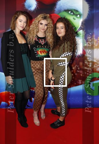 Amsterdam 24 november 2018
Premiere van de Grinch in pathe arena.
Fabiola Volkers (m)