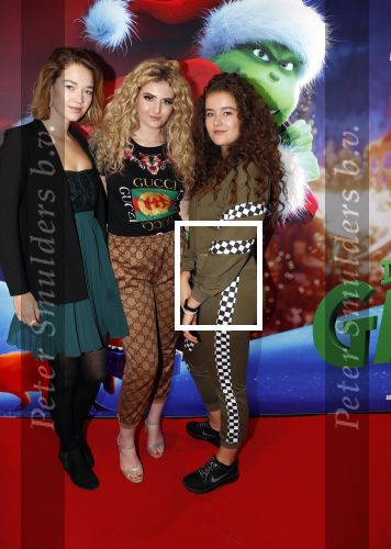 Amsterdam 24 november 2018
Premiere van de Grinch in pathe arena.
Fabiola Volkers (m)