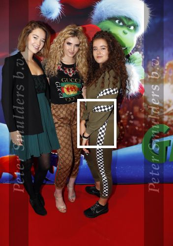 Amsterdam 24 november 2018
Premiere van de Grinch in pathe arena.
Fabiola Volkers (m)