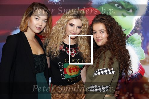 Amsterdam 24 november 2018
Premiere van de Grinch in pathe arena.
Fabiola Volkers (m)