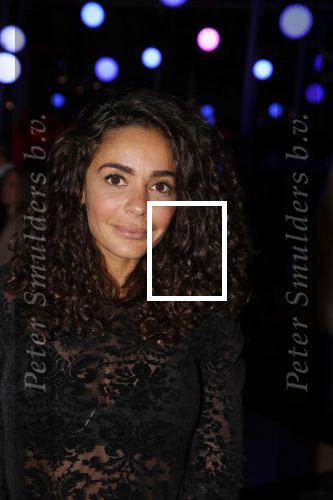 Amsterdam 27 november 2018
Presentatie Amsterdam XXXL magazine bij Butcher in de ADAM toren. Fajah Lourens