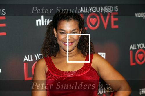 Amsterdam 26 november 2018
Premiere All you need is love in het delamar theater. Farida v d Stoom