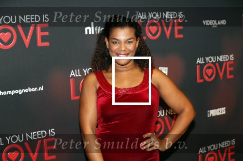 Amsterdam 26 november 2018
Premiere All you need is love in het delamar theater. Farida v d Stoom