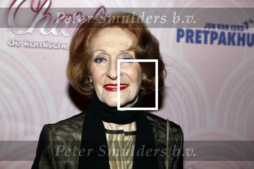 Rotterdam 9 december 2018
Premiere Charley in het oude Luxor theater. Gerrie v d Klei met een kennis