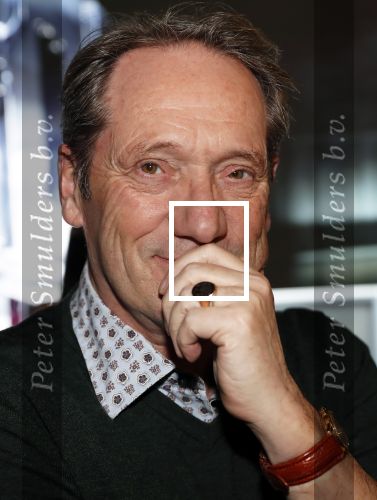 Amsterdam 26 november 2018
Premiere van the possession of Hannah Grace van regisseur Diederik v Rooijen in Pathe de munt.. Gijs Scholten v Aschat