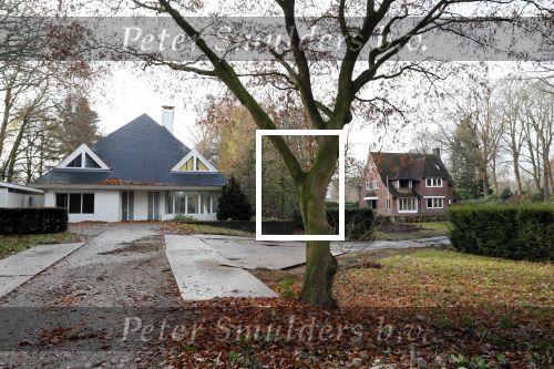 Tilburg 1 december 2018
Guus Meeuwis heeft een nieuw huis gekocht in Tilburg . Het huis ernaast staat ook leeg en het werkverkeer gaat via die oprit naar het huis van Guus. Huis moet volledig opgeknapt worden.