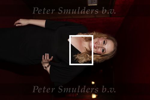 Amsterdam 21 november 2018
Premiere Palazzo naast de Amsterdam arena. hannelore Zwitserlood kwam met haar man
