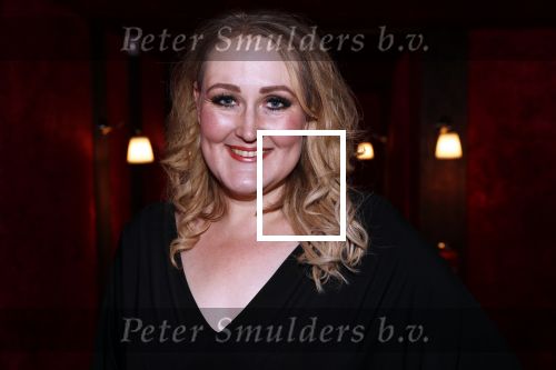 Amsterdam 21 november 2018
Premiere Palazzo naast de Amsterdam arena. hannelore Zwitserlood kwam met haar man